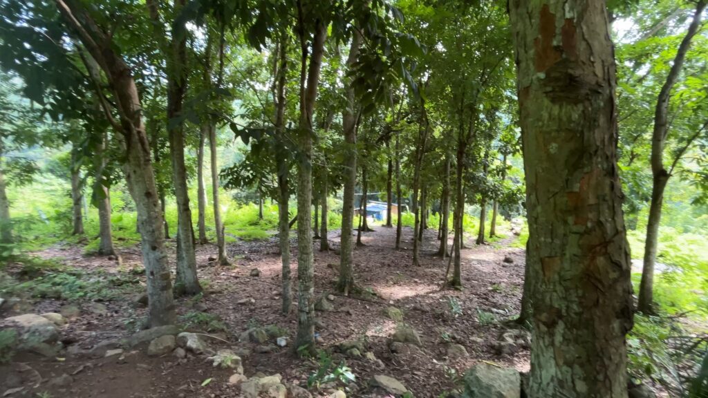 Being Explored: Campagao Peak Area